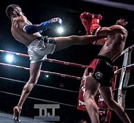 Image result for deadliest martial art