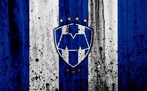 Image result for Rayados De Monterrey Free Images to Print