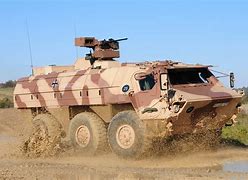 Image result for Tpz Fuchs Wildcat