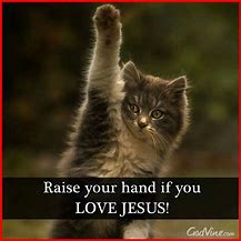 Image result for Christian Cat Memes