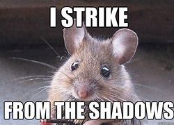 Image result for Mad Mouse Meme