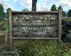 Image result for Surilie Grapes