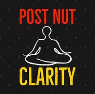 Image result for Post Nut Clarity Hoodie