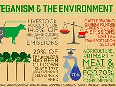 Image result for Environmental Vegetarianism