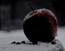 Image result for Dark Red Apple Aesthetic