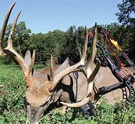 Image result for Jim Thome Hunting