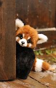 Image result for Giant Panda Stuffed Animal
