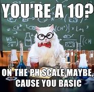 Image result for Pirate Cat Chemistry Meme