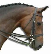 Image result for Horse Bit Pelham with Ring