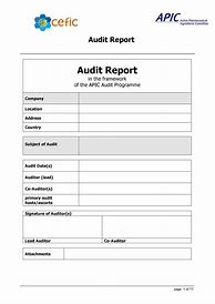 Image result for Report Template PDF