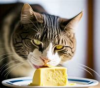 Image result for Eating Butter