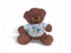Image result for Build a Bear Cricket