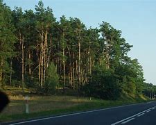 Image result for co_to_za_Żelechowo