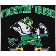 Image result for Notre Dame Fighting Irish Football
