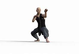 Image result for Kung Fu Pics