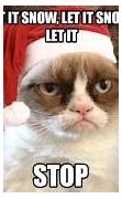 Image result for Happy Grumpy Cat Memes