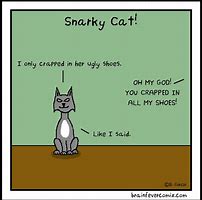 Image result for Snarky Cat Meme