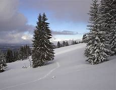 Image result for neige