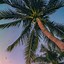 Image result for Palm Pixi Phone Wallpapers