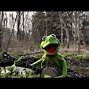 Image result for Kermit the Frog Actor