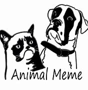 Image result for Animal Group Pic Meme