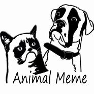 Image result for Animals in Costumes Memes