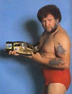 Image result for harley_race