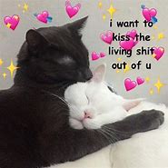 Image result for Cat Kiss Meme