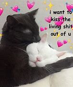 Image result for Cute Animal Relationship Memes