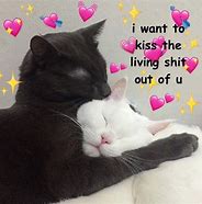 Image result for Cute Twitter Memes