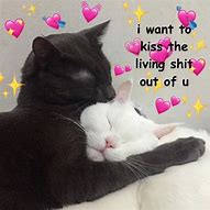 Image result for Kitty Love Meme