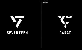 Image result for Seventeen Album Logo