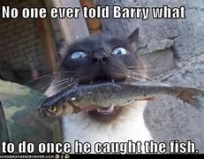 Image result for Boating and Fishing Memes
