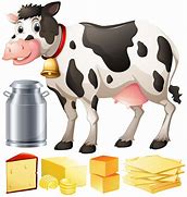 Image result for Dairy Cow Illustration