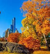 Image result for New York NY weather