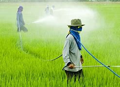 Image result for Organic Farming Pesticides