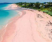 Image result for Juan McCartney Bahamas