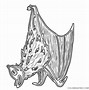 Image result for Cartoon Bat Hanging