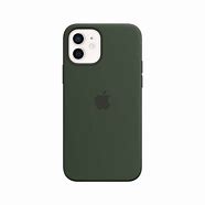 Image result for iPhone 12 Green Clip Case