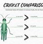 Image result for Cricket Farming