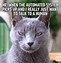 Image result for Cat Thing Meme