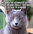 Image result for Funny Cat Meme Kittens