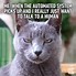 Image result for Cat You Need a Hobby Meme