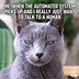 Image result for Funniest Cat Memes of All Time