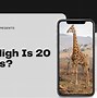 Image result for How Tall Is 20 Metres