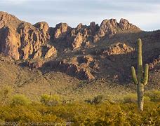 Image result for Tucson Arizona Desert