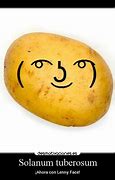 Image result for Lenny Face Potato