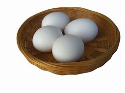 Image result for House Cricket Eggs
