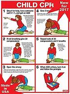 Image result for CPR Laminated Card
