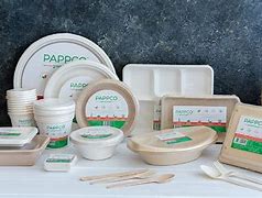 Image result for Packaging Made From Sugar Cane